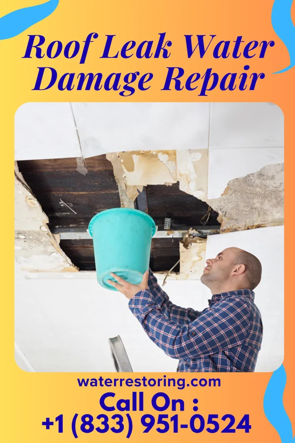 Roof Leak Water Damage Repair in Blackburn, OK
